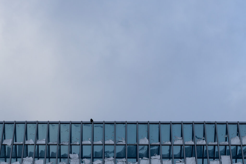 Vogel auf einem Glasdach, das von leichtem Schnee bedeckt ist